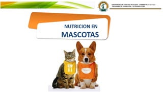 NUTRICION EN
MASCOTAS
 