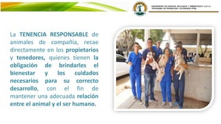 La TENENCIA RESPONSABLE de
animales de compañía, recae
directamente en los propietarios
y tenedores, quienes tienen la
obligación de brindarles el
bienestar y los cuidados
necesarios para su correcto
desarrollo, con el fin de
mantener una adecuada relación
entre el animal y el ser humano.
 