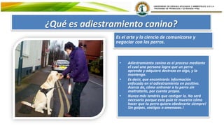 ¿Qué es adiestramiento canino?
Es el arte y la ciencia de comunicarse y
negociar con los perros.
• Adiestramiento canino es el proceso mediante
el cual una persona logra que un perro
aprenda y adquiera destreza en algo, y la
mantenga.
• Es decir, que encontrarás información
enfocada en el adiestramiento en positivo.
Acerca de, cómo entrenar a tu perro sin
maltratarlo, por cuenta propia.
• Nunca más tendrás que castigar lo. No será
necesario porque esta guía te muestra cómo
hacer que tu perro quiera obedecerte siempre!
Sin golpes, castigos o amenazas.!
 