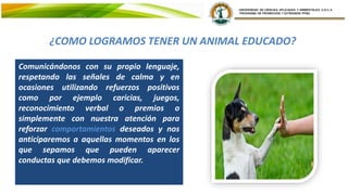 ¿COMO LOGRAMOS TENER UN ANIMAL EDUCADO?
Comunicándonos con su propio lenguaje,
respetando las señales de calma y en
ocasiones utilizando refuerzos positivos
como por ejemplo caricias, juegos,
reconocimiento verbal o premios o
simplemente con nuestra atención para
reforzar comportamientos deseados y nos
anticiparemos a aquellas momentos en los
que sepamos que pueden aparecer
conductas que debemos modificar.
 
