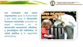 Los animales son seres
importantes para la humanidad
y por ende para el desarrollo
humano sostenible teniendo un
papel relevante en el
desarrollo emocional, afectivo,
y psicológico del individuo, la
salud pública y la seguridad
alimentaria.
 