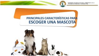 PRINCIPALES CARACTERÍSTICAS PARA
ESCOGER UNA MASCOTA
 
