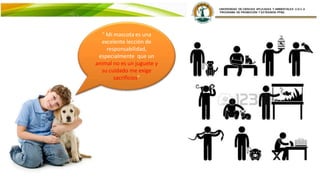 El 80% de las familias
Colombianas que tienen perro
o gato creen que es una fuente
de bienestar y los estudios
confirman que incluso ayuda a
reducir el estrés
“ Mi mascota es una
excelente lección de
responsabilidad,
especialmente que un
animal no es un juguete y
su cuidado me exige
sacrificios”
 