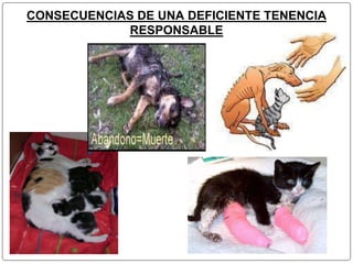 CONSECUENCIAS DE UNA DEFICIENTE TENENCIA 
RESPONSABLE 
 