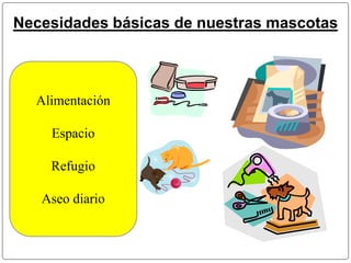Necesidades básicas de nuestras mascotas 
Alimentación 
Espacio 
Refugio 
Aseo diario 
 