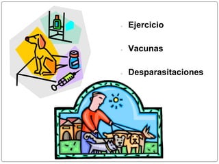 ● Ejercicio 
● Vacunas 
● Desparasitaciones 
 