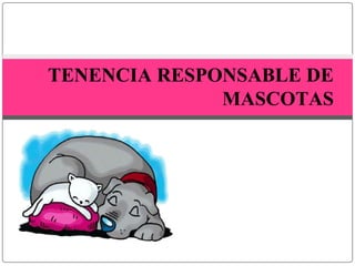 TENENCIA RESPONSABLE DE 
MASCOTAS 
 