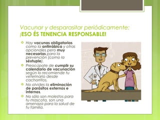 Vacunar y desparasitar periódicamente:
¡ESO ÉS TENENCIA RESPONSABLE!
 Hay vacunas obligatorias
como la antirrábica y otras
opcionales pero muy
necesarias para la
prevención (como la
séxtuple).
 Preocúpate de cumplir su
calendario de vacunación
según lo recomiende tu
veterinario desde
cachorritos.
 No olvides la eliminación
de parásitos externos e
internos.
 No sólo son molestos para
tu mascota, son una
amenaza para la salud de
tu familia.
 
