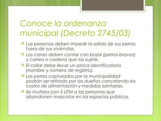 Conoce la ordenanza
municipal (Decreto 2745/03)
 Las personas deben impedir la salida de sus perros
fuera de sus viviendas.
 Los canes deben contar con bozal (perros bravos)
y correa o cadena que los sujete.
 El collar debe llevar un placa identificatoria
(nombre y número de registro).
 Los perros capturados por la municipalidad
podrán ser retirado por los dueños cancelando los
costos de alimentación y medidas sanitarias.
 Se multara con 5 UTM a las personas que
abandonen mascotas en los espacios públicos.
 