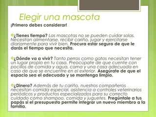 Elegir una mascota
¡Primero debes considerar!
¿Tienes tiempo? Las mascotas no se pueden cuidar solas.
Necesitan alimentarse, recibir cariño, jugar y ejercitarse
diariamente para vivir bien. Procura estar seguro de que le
darás el tiempo que necesita.
¿Dónde va a vivir? Tanto perros como gatos necesitan tener
un lugar propio en tu casa. Preocúpate de que cuente con
pocillos de comida y agua, cama y una casa adecuada en
caso de que se encuentre en el exterior. Asegúrate de que el
espacio sea el adecuado y se mantenga limpio.
¿Dinero? Además de tu cariño, nuestros compañeros
necesitan comida especial, asistencia a controles veterinarios
periódicos y productos especializados para su correcto
cuidado como shampoo, comida y juguetes. Pregúntale a tus
papás si el presupuesto permite integrar un nuevo miembro a la
familia.
 