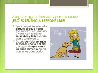 Asegurar agua, comida y paseos diarios:
¡ESO ÉS TENENCIA RESPONSABLE!
 Igual que tú, tu mascota
disfruta el agua fresca
(no importa si es invierno
o verano) y se siente
saludable y feliz cuando
come su alimento.
 Debes cambiar su agua
al menos una vez al día
y asegurarte que coma
un buen alimento en las
porciones adecuadas.
 