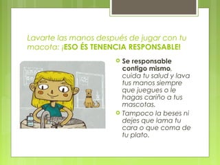 Lavarte las manos después de jugar con tu
macota: ¡ESO ÉS TENENCIA RESPONSABLE!
 Se responsable
contigo mismo,
cuida tu salud y lava
tus manos siempre
que juegues o le
hagas cariño a tus
mascotas.
 Tampoco la beses ni
dejes que lama tu
cara o que coma de
tu plato.
 