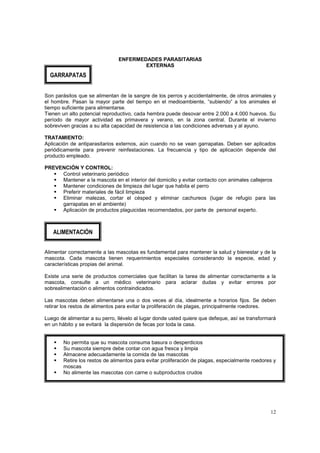 ENFERMEDADES PARASITARIAS
                                       EXTERNAS
  GARRAPATAS


Son parásitos que se alimentan de la sangre de los perros y accidentalmente, de otros animales y
el hombre. Pasan la mayor parte del tiempo en el medioambiente, “subiendo” a los animales el
tiempo suficiente para alimentarse.
Tienen un alto potencial reproductivo, cada hembra puede desovar entre 2.000 a 4.000 huevos. Su
período de mayor actividad es primavera y verano, en la zona central. Durante el invierno
sobreviven gracias a su alta capacidad de resistencia a las condiciones adversas y al ayuno.

TRATAMIENTO:
Aplicación de antiparasitarios externos, aún cuando no se vean garrapatas. Deben ser aplicados
periódicamente para prevenir reinfestaciones. La frecuencia y tipo de aplicación depende del
producto empleado.

PREVENCIÓN Y CONTROL:
     Control veterinario periódico
     Mantener a la mascota en el interior del domicilio y evitar contacto con animales callejeros
     Mantener condiciones de limpieza del lugar que habita el perro
     Preferir materiales de fácil limpieza
     Eliminar malezas, cortar el césped y eliminar cachureos (lugar de refugio para las
     garrapatas en el ambiente)
     Aplicación de productos plaguicidas recomendados, por parte de personal experto.



   ALIMENTACIÓN


Alimentar correctamente a las mascotas es fundamental para mantener la salud y bienestar y de la
mascota. Cada mascota tienen requerimientos especiales considerando la especie, edad y
características propias del animal.

Existe una serie de productos comerciales que facilitan la tarea de alimentar correctamente a la
mascota, consulte a un médico veterinario para aclarar dudas y evitar errores por
sobrealimentación o alimentos contraindicados.

Las mascotas deben alimentarse una o dos veces al día, idealmente a horarios fijos. Se deben
retirar los restos de alimentos para evitar la proliferación de plagas, principalmente roedores.

Luego de alimentar a su perro, llévelo al lugar donde usted quiere que defeque, así se transformará
en un hábito y se evitará la dispersión de fecas por toda la casa.


        No permita que su mascota consuma basura o desperdicios
        Su mascota siempre debe contar con agua fresca y limpia
        Almacene adecuadamente la comida de las mascotas
        Retire los restos de alimentos para evitar proliferación de plagas, especialmente roedores y
        moscas
        No alimente las mascotas con carne o subproductos crudos




                                                                                                 12
 
