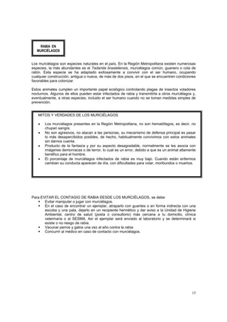 RABIA EN
   MURCIÉLAGOS


Los murciélagos son especies naturales en el país. En la Región Metropolitana existen numerosas
especies, la más abundantes es el Tadarida brasieliensis, murciélagos común, guanero o cola de
ratón. Esta especie se ha adaptado exitosamente a convivir con el ser humano, ocupando
cualquier construcción, antigua o nueva, de más de dos pisos, en el que se encuentren condiciones
favorables para colonizar.

Estos animales cumplen un importante papel ecológico controlando plagas de insectos voladores
nocturnos. Algunos de ellos pueden estar infectados de rabia y transmitirla a otros murciélagos y,
eventualmente, a otras especies, incluido el ser humano cuando no se toman medidas simples de
prevención.


   MITOS Y VERDADES DE LOS MURCIÉLAGOS

   •   Los murciélagos presentes en la Región Metropolitana, no son hematófagos, es decir, no
       chupan sangre.
   •   No son agresivos, no atacan a las personas, su mecanismo de defensa principal es pasar
       lo más desapercibidos posibles, de hecho, habitualmente convivimos con estos animales
       sin darnos cuenta.
   •   Producto de la fantasía y por su aspecto desagradable, normalmente se les asocia con
       imágenes demoníacas o de terror, lo cual es un error, debido a que es un animal altamente
       benéfico para el hombre.
   •   El porcentaje de murciélagos infectados de rabia es muy bajo. Cuando están enfermos
       cambian su conducta aparecen de día, con dificultades para volar, moribundos o muertos.




Para EVITAR EL CONTAGIO DE RABIA DESDE LOS MURCIÉLAGOS, se debe:
       Evitar manipular o jugar con murciélagos.
       En el caso de encontrar un ejemplar, atraparlo con guantes o en forma indirecta con una
       escoba y una pala, dejarlo en un recipiente hermético y dar aviso a la Unidad de Higiene
       Ambiental, centro de salud (posta o consultorio) más cercana a tu domicilio, clínica
       veterinaria o al SESMA. Así el ejemplar será enviado al laboratorio y se determinará si
       existe o no riesgo de rabia.
       Vacunar perros y gatos una vez al año contra la rabia
       Concurrir al médico en caso de contacto con murciélagos.




                                                                                               15
 