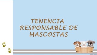 TENENCIA
RESPONSABLE DE
MASCOSTAS
 