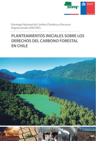 PLANTEAMIENTOS INICIALES SOBRE LOS
DERECHOS DEL CARBONO FORESTAL
EN CHILE
Estrategia Nacional de Cambio Climático y Recursos
Vegetacionales (ENCCRV):
 