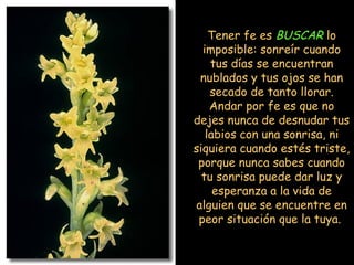 Tener fe es BUSCAR lo
imposible: sonreír cuando
tus días se encuentran
nublados y tus ojos se han
secado de tanto llorar.
Andar por fe es que no
dejes nunca de desnudar tus
labios con una sonrisa, ni
siquiera cuando estés triste,
porque nunca sabes cuando
tu sonrisa puede dar luz y
esperanza a la vida de
alguien que se encuentre en
peor situación que la tuya.

 