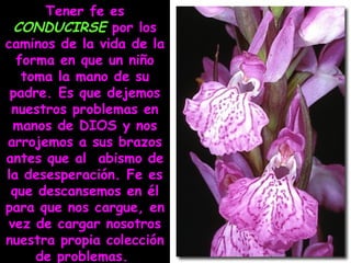 Tener fe es
CONDUCIRSE por los
caminos de la vida de la
forma en que un niño
toma la mano de su
padre. Es que dejemos
nuestros problemas en
manos de DIOS y nos
arrojemos a sus brazos
antes que al abismo de
la desesperación. Fe es
que descansemos en él
para que nos cargue, en
vez de cargar nosotros
nuestra propia colección
de problemas.

 