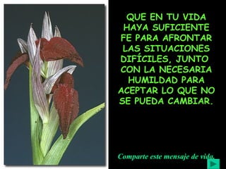 QUE EN TU VIDA
HAYA SUFICIENTE
FE PARA AFRONTAR
LAS SITUACIONES
DIFÍCILES, JUNTO
CON LA NECESARIA
HUMILDAD PARA
ACEPTAR LO QUE NO
SE PUEDA CAMBIAR.

Comparte este mensaje de vida.

 