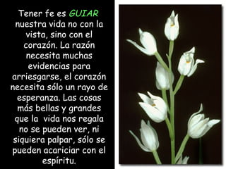 Tener fe es GUIAR
nuestra vida no con la
vista, sino con el
corazón. La razón
necesita muchas
evidencias para
arriesgarse, el corazón
necesita sólo un rayo de
esperanza. Las cosas
más bellas y grandes
que la vida nos regala
no se pueden ver, ni
siquiera palpar, sólo se
pueden acariciar con el
espíritu.

 