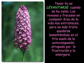 Tener fe es
LEVANTARSE cuando
se ha caído. Los
reveses y fracasos en
cualquier área de la
vida nos entristecen,
pero es más triste
quedarse
lamentándose en el
frío suelo de la
autocompasión,
atrapado por la
frustración y la
amargura.

 