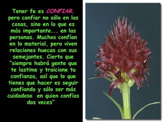 Tener fe es CONFIAR,
pero confiar no sólo en las
cosas, sino en lo que es
más importante... en las
personas. Muchos confían
en lo material, pero viven
relaciones huecas con sus
semejantes. Cierto que
“siempre habrá gente que
te lastime y traicione tu
confianza, así que lo que
tienes que hacer es seguir
confiando y sólo ser más
cuidadoso en quien confías
dos veces”

 