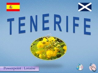 T E N E R I F E Powerpoint : Loraine 