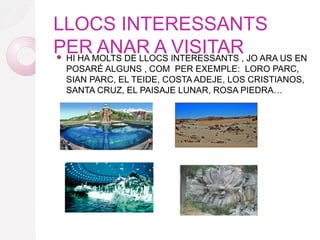 LLOCS INTERESSANTS
PER ANAR A VISITAR HI HA MOLTS DE LLOCS INTERESSANTS , JO ARA US EN
POSARÉ ALGUNS , COM PER EXEMPLE: LORO PARC,
SIAN PARC, EL TEIDE, COSTA ADEJE, LOS CRISTIANOS,
SANTA CRUZ, EL PAISAJE LUNAR, ROSA PIEDRA…
 