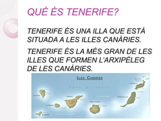 QUÈ ÉS TENERIFE?
TENERIFE ÉS UNA ILLA QUE ESTÀ
SITUADA A LES ILLES CANÀRIES.
TENERIFE ÉS LA MÉS GRAN DE LES
ILLES QUE FORMEN L’ARXIPÈLEG
DE LES CANÀRIES.
 