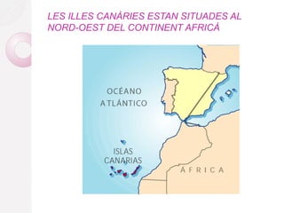 LES ILLES CANÀRIES ESTAN SITUADES AL
NORD-OEST DEL CONTINENT AFRICÀ
 