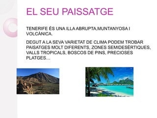 EL SEU PAISSATGE
TENERIFE ÉS UNA ILLA ABRUPTA,MUNTANYOSA I
VOLCÀNICA.
DEGUT A LA SEVA VARIETAT DE CLIMA PODEM TROBAR
PAISATGES MOLT DIFERENTS, ZONES SEMIDESÈRTIQUES,
VALLS TROPICALS, BOSCOS DE PINS, PRECIOSES
PLATGES…
 
