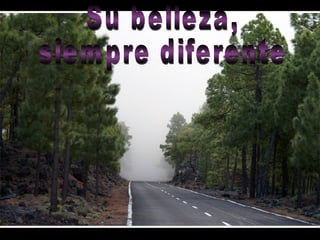 Su belleza,  siempre diferente  