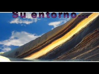 Su entorno... 