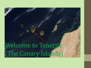 Welcome to Tenerife
(The Canary Islands)
 