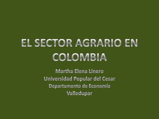 EL SECTOR AGRARIO EN COLOMBIA Martha Elena Linero Universidad Popular del Cesar Departamento de Economía Valledupar 