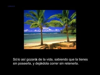 VMGR/05




     Só lo así gozará de la vida, sabiendo que la tienes
                     s
     sin poseerla, y dejándola correr sin retenerla.
 