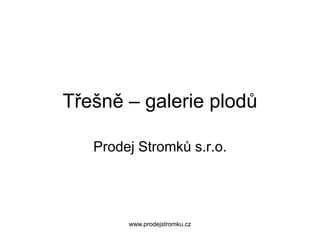 Třešně – galerie plodů   Prodej Stromků s.r.o.  www.prodejstromku.cz 