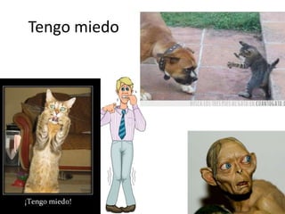 Tengo miedo