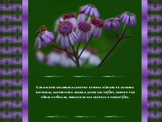 Cada mente encarnada constitui extenso número de governo espiritual, subordinado agora a justas limitações, servido por várias potências, traduzidas nos sentidos e percepções. 