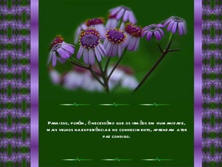 Para isso, porém, é necessário que os irmãos em humanidade, mais velhos na experiência e no conhecimento, aprendam a ter paz consigo. 