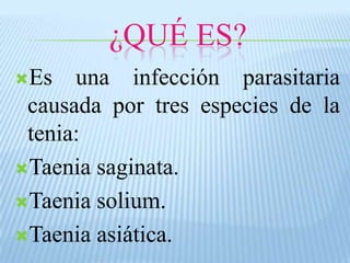 ¿QUÉ ES?
Es
una infección parasitaria
causada por tres especies de la
tenia:
Taenia saginata.
Taenia solium.
Taenia asiática.