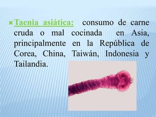  Taenia
asiática: consumo de carne
cruda o mal cocinada
en Asia,
principalmente en la República de
Corea, China, Taiwán, Indonesia y
Tailandia.
