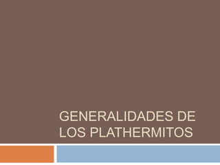 GENERALIDADES DE
LOS PLATHERMITOS
 