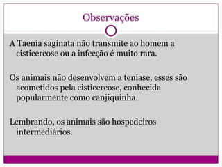 Observações
A Taenia saginata não transmite ao homem a
cisticercose ou a infecção é muito rara.
Os animais não desenvolvem a teniase, esses são
acometidos pela cisticercose, conhecida
popularmente como canjiquinha.
Lembrando, os animais são hospedeiros
intermediários.
 