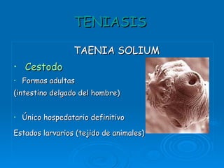 TENIASIS TAENIA SOLIUM Cestodo Formas adultas (intestino delgado del hombre) Único hospedatario definitivo Estados larvarios (tejido de animales)