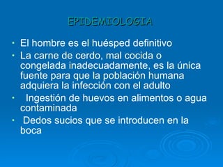 EPIDEMIOLOGIA  El hombre es el huésped definitivo  La carne de cerdo, mal cocida o congelada inadecuadamente, es la única fuente para que la población humana adquiera la infección con el adulto  Ingestión de huevos en alimentos o agua contaminada Dedos sucios que se introducen en la boca  