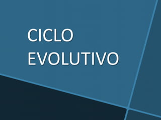 CICLO
EVOLUTIVO
 