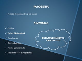 Periodo de incubación: 2 a 3 meses
 Cefalea
 Dolor Abdominal
 Constipación
 Diarrea Eventual
 Prurito Generalizado
 Apetito Intenso o Inapetencia
SINTOMAS
PATOGENIA
ENFLAQUESIMIENTO
PROGRESIVO
 