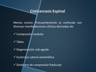 Cisticercosis Espinal
Menos común. Frecuentemente se confunde con
diversas manifestaciones clínicas derivadas de:
 Compresión medular
 Tabes
 Degeneración sub-aguda
 Esclerosis Lateral amiotrófica
 Síndrome de compresión Radicular
 