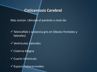 Cisticercosis Cerebral
Más común. Ubicado el parásito a nivel de:
 Telencéfalo ( sustancia gris en lóbulos frontales y
laterales)
 Ventrículos Laterales
 Cisterna Magna
 Cuarto Ventrículo
 Espacio Subaracnoideo
 